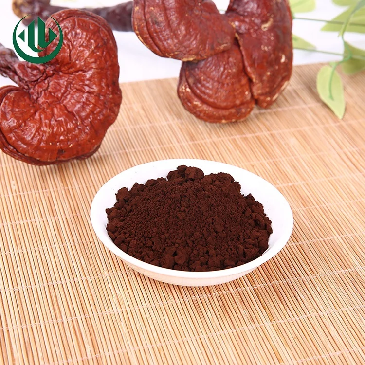 Wholesale Price Reishi Mushroom Extract Ganoderma Lucidum Coriolus Mushroom Extract Psylocibin Mushroom Extract