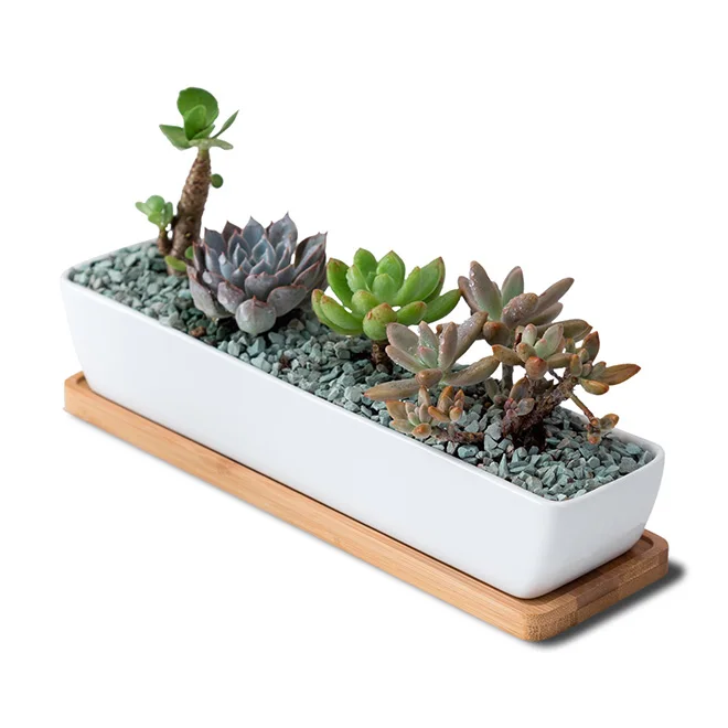 Dropshipping White Succulent Planter Pots11.1 inch Long Rectangle Ceramic Plant Container with Bamboo Saucers for Office Desk