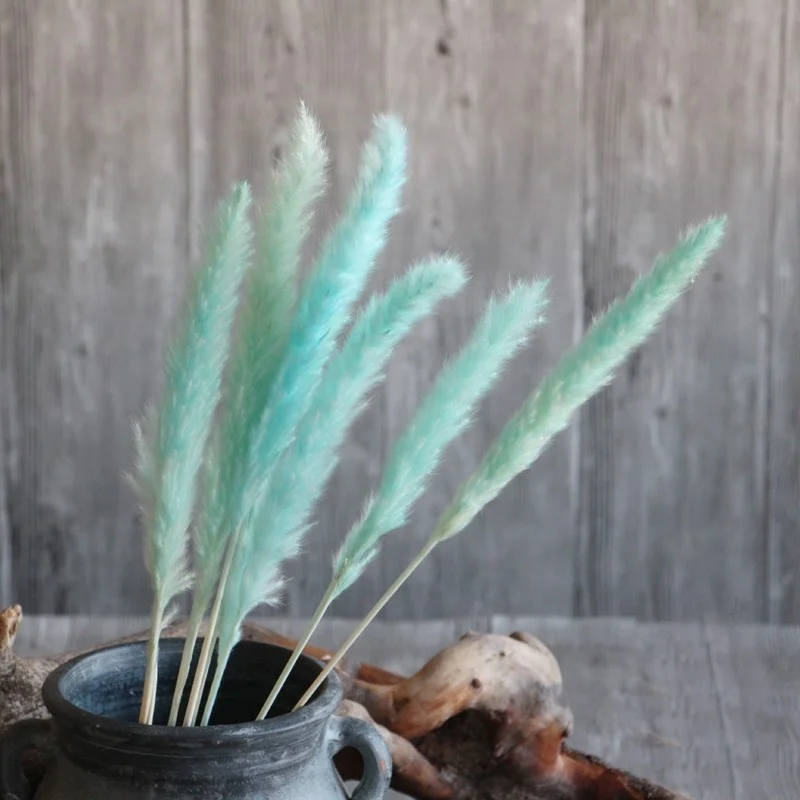 
Wholesale 100% natural Yunnan dried pampas grass decorative flowers 