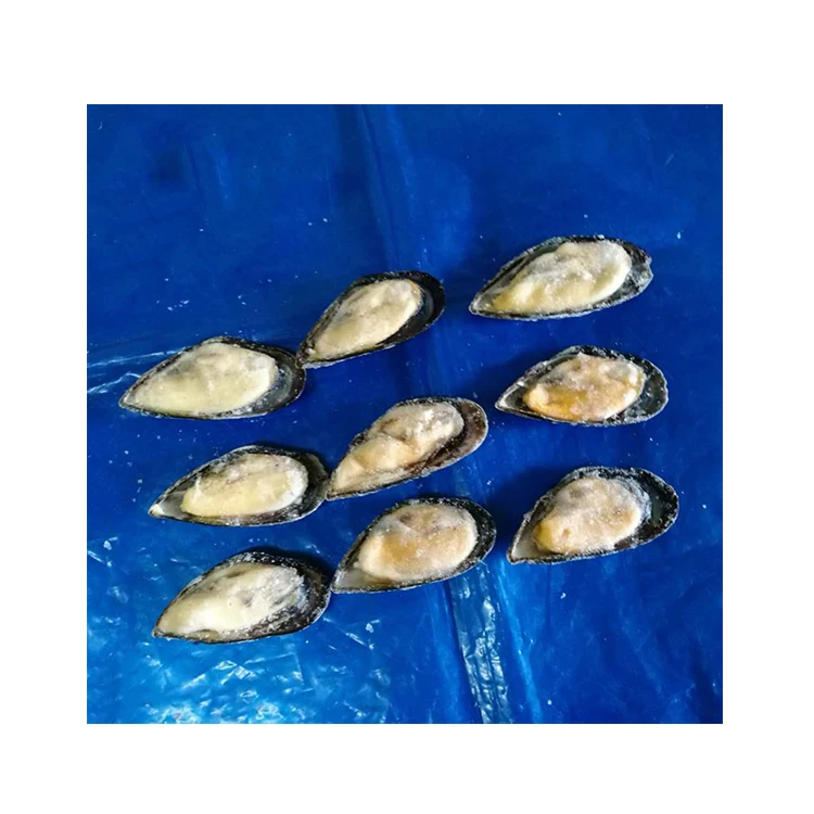 Best quality half shell mussel price with 10,15%,20%Glazing No Compensated