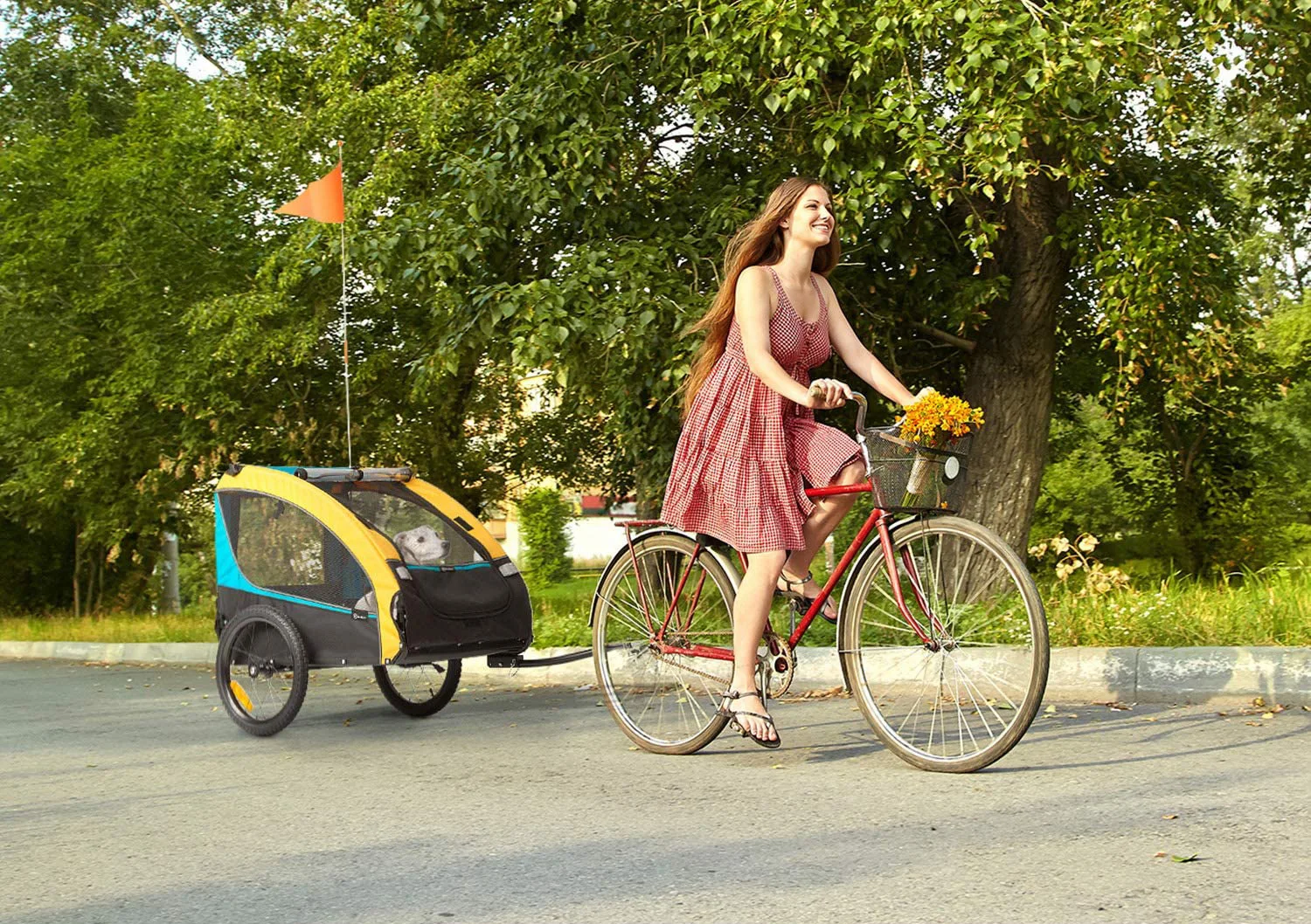 
colorful bike trailer cart for big dog 