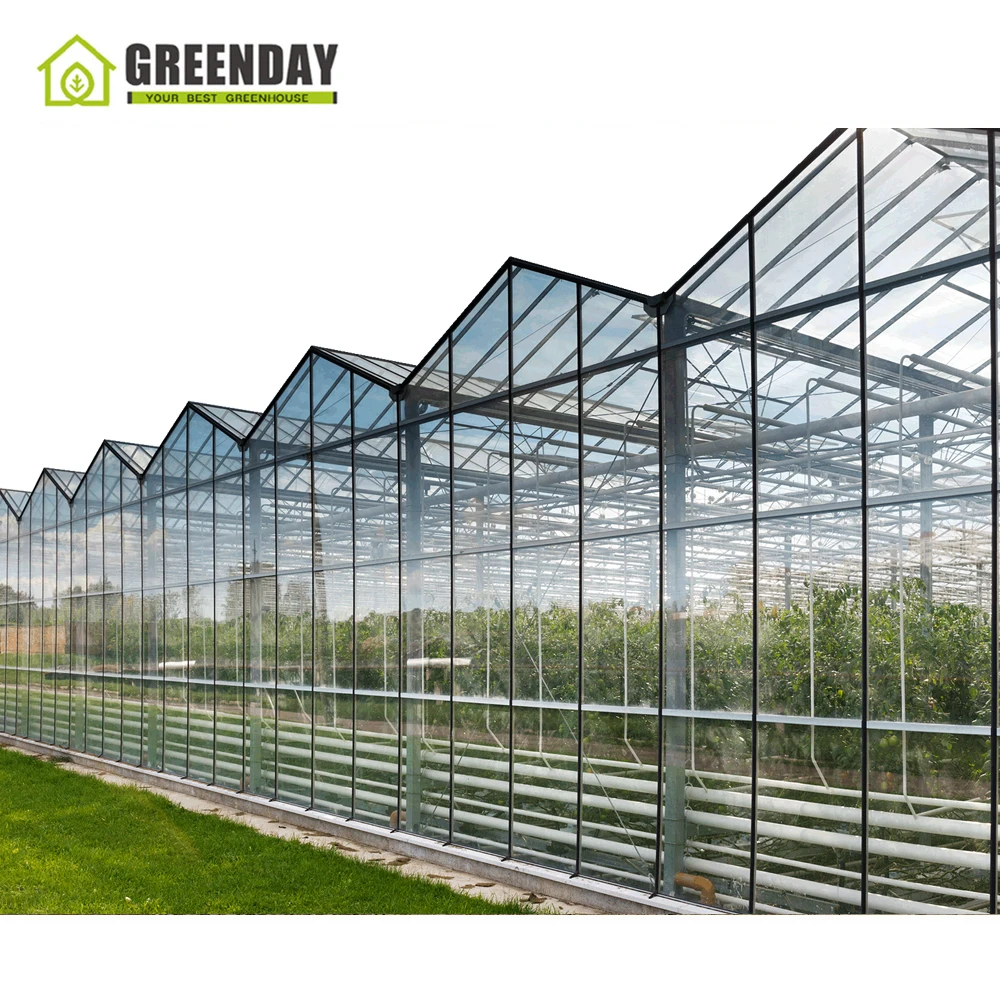 
GREENDAY Multi span prefabricated buy wooden greenhouse vintage 