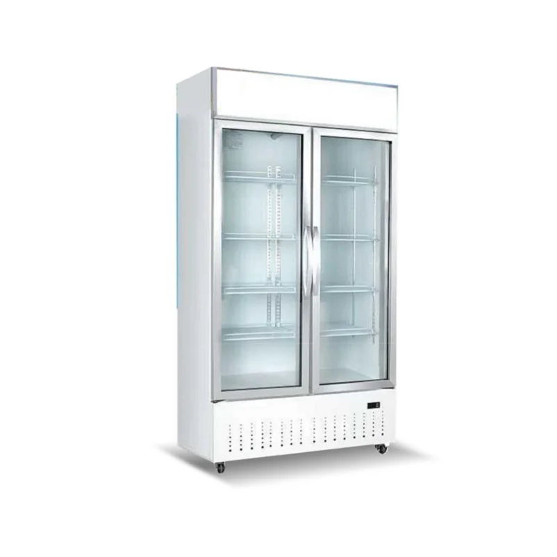 Double Door Commercial Counter Fridge Upright Drink Cooler Supermarket Commercial Refrigeration Equipment