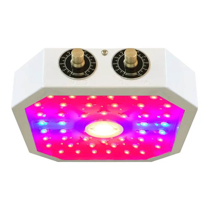 
Oem Commercial Board Hydroponic 300W 600W 1000W 2000W Watt Cob Indoor Plant Lamp Full Spectrum Led Grow Lights 