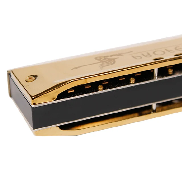 SW1664-3 Hole 48 Tone Thick Blow Mouth Practice Playing Chromatic Harmonica