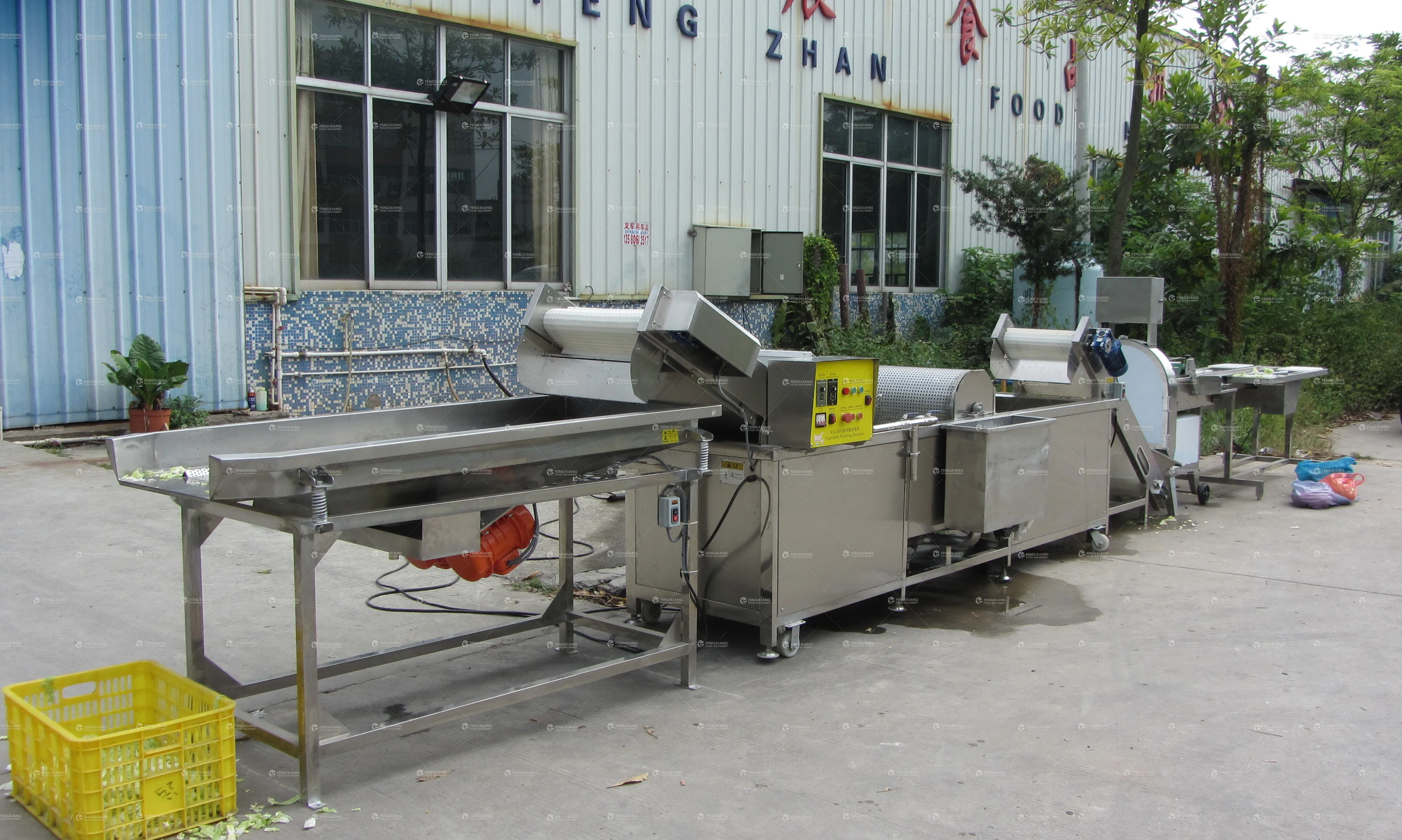 Salad Vegetable Production System Industrial Vegetable Washing Cutting Drying Processing Line