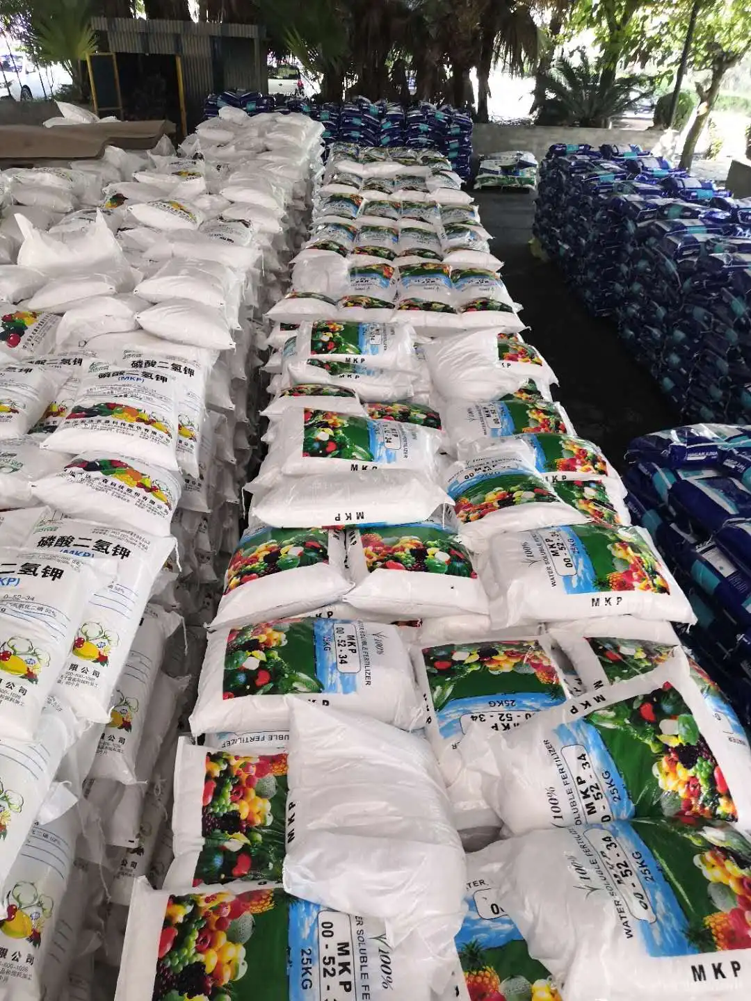 Wholesale MKP Fertilizers 00 52 34 Monopotassium Phosphate 0-52-34 Chinese 21 Years Experience Manufacturer