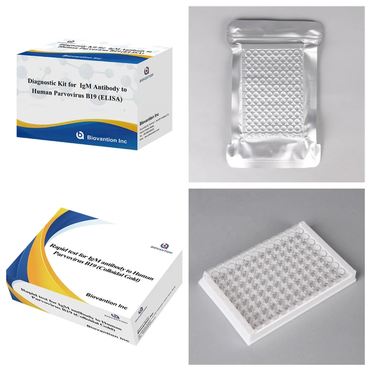 Elisa Diagnostic Kit for Human Parvovirus B19 IgM Antibody for hospital and lab
