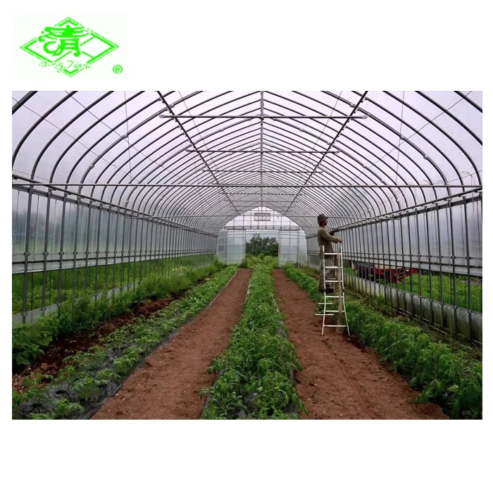 Transparent poly 200 micron tunnel greenhouse film for sale