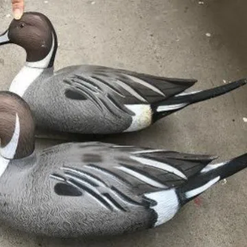 1:1 Restoration Simulation Garden Decoration Wild Animals Long Tail Duck Pintail Forest Outdoor Hunting Trap