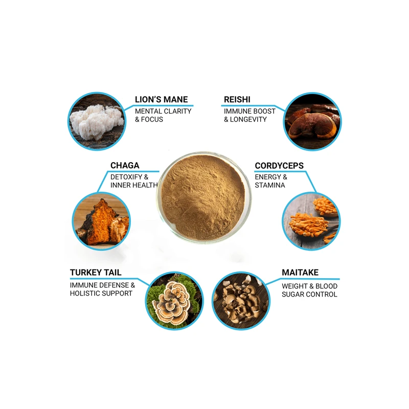 6 in 1 Powerful Mushroom Extract Powder 30% Beta Glucan  - Lions Mane, Reishi, Cordyceps, Chaga, Turkey Tail, Maitake