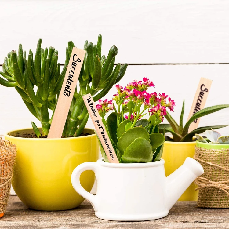 wholesale custom 50Pcs Wooden Plant Labels Wood Plant Sign Tags Garden Markers  for Seed Potted Herbs Flowers Vegetables