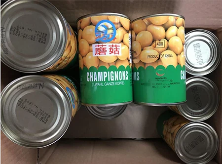 High Quality Canned Whole Mushroom Champignon in Conserva