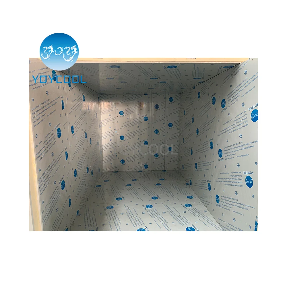 BEST walk in freezer units for sale meat cooler compressor walkin and cold room