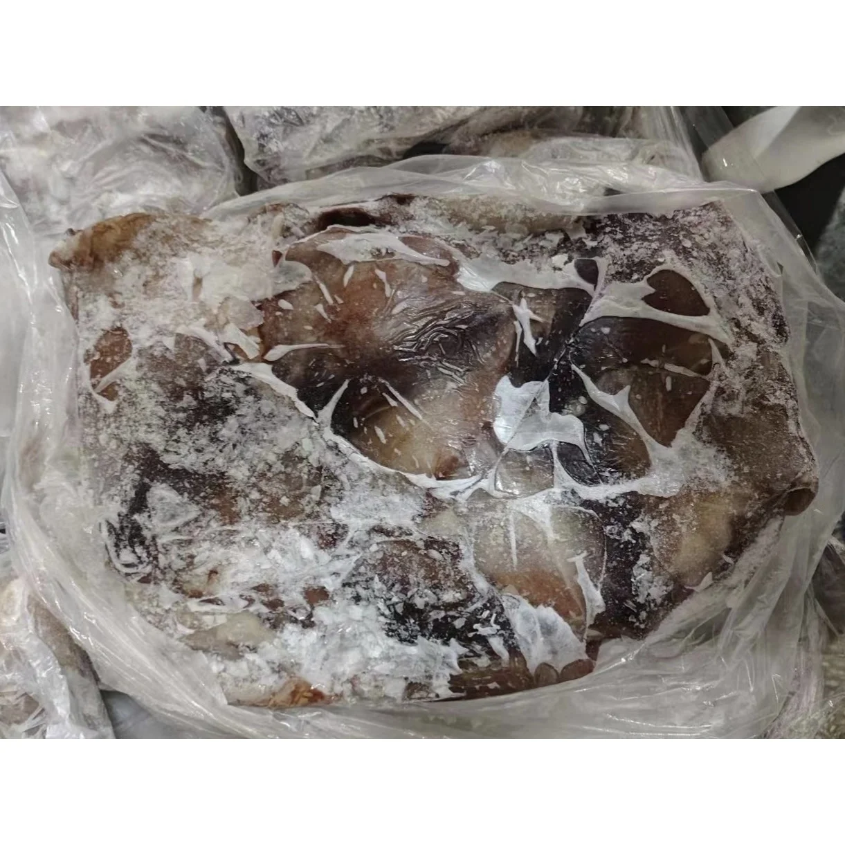 Frozen Seafood 1-2kg BQF Frozen Squid Wings/Ear