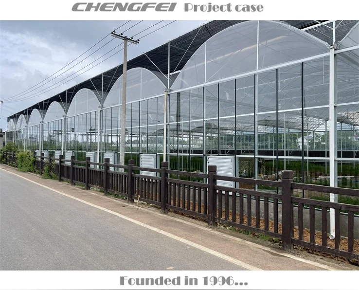 Multi-span agricultural flower vegetable plastic commercial etfe pe film greenhouse supplier for sale