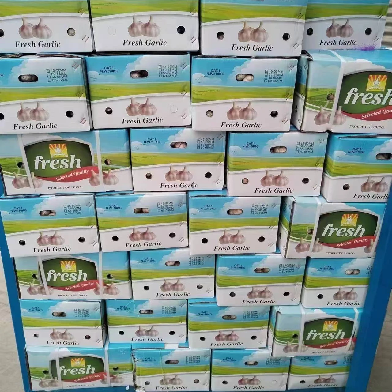 China Garlic Price in Cheap 4.5cm-6.5cm/package in carton/bag for Import/Export - new arrival chinese  wholesale fresh garlic