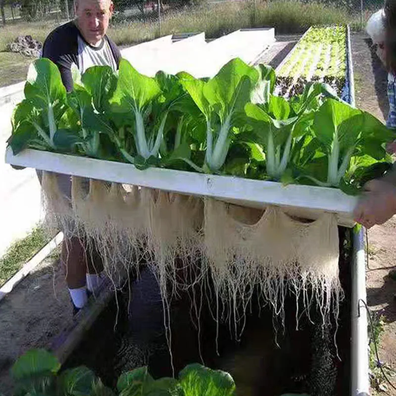 Wholesale Farm Cultivation Foam Sponge Board Hydroponic Vegetables seedling planting for Seedling Trays Plastic Nursery