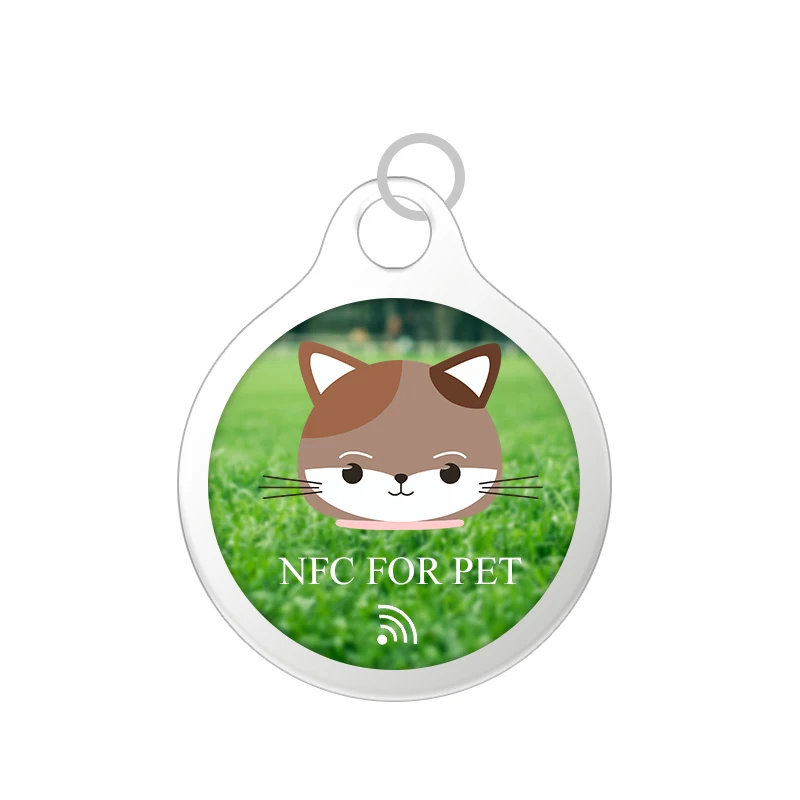 Wholesale RTS Design Hard Enamel RFID Metal Plated No MOQ Plastic Gold Keyring Pantone Keychains Keychain NFC Pet Tag