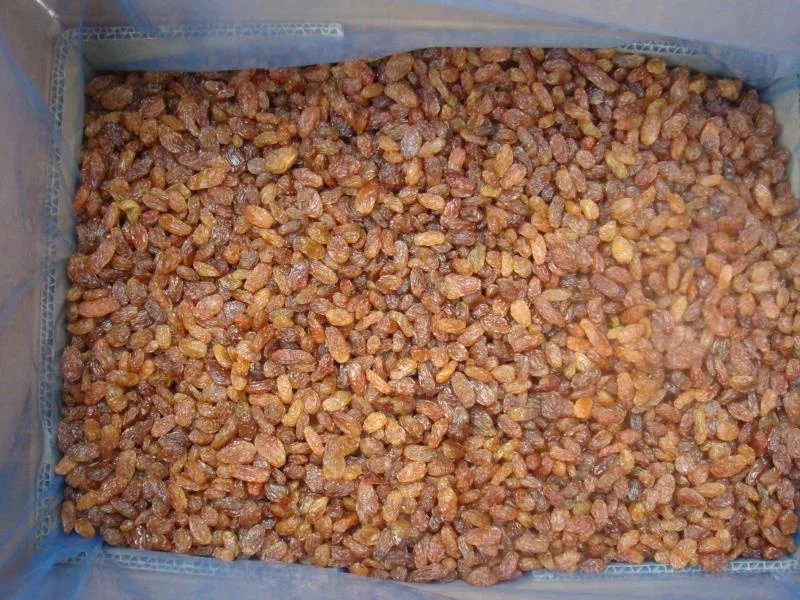 Сушеный на Солнце Изюм Султаны/коричневый изюм без семян