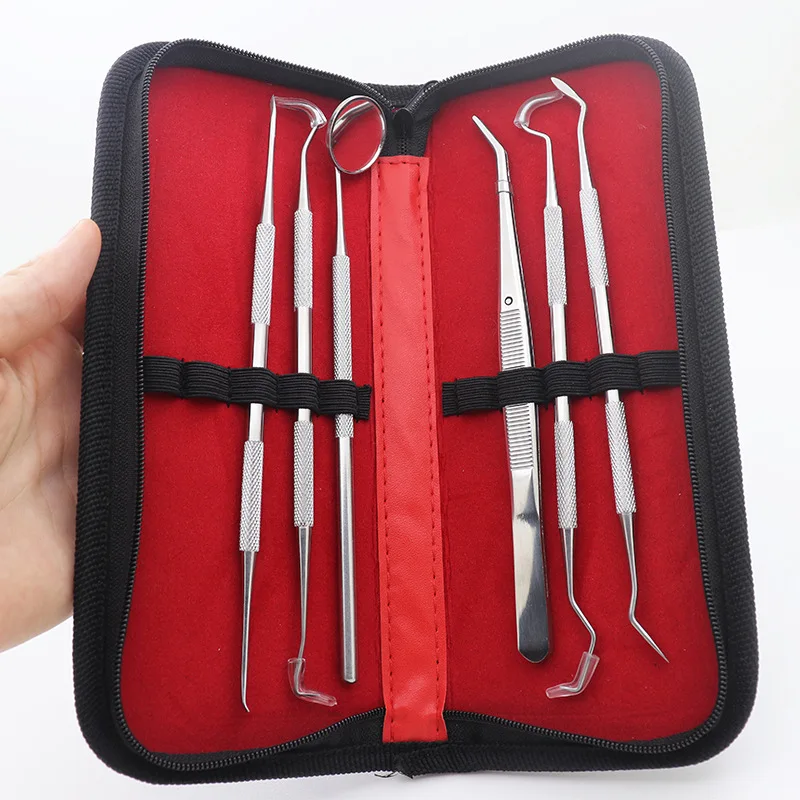 2022 amazon hot selling Professional Tartar Plaque Remover Stainless Steel Dental Cleaning Tools  ToolTeeth Care Kits