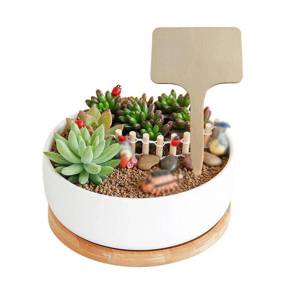 Bamboo Plant Labels, Plant Tags Garden Markers, Wooden Garden Labels for Seeds, Herbs, Vegetables, Gifts