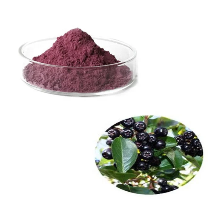 Wholesale Maqui Fruit Powder Organic 98% Maqui Berry Extract Powder