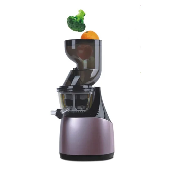 New coming Slow Masticating Juicer Extractor, 3.15 Inches Wide Chute Cold Press Juicer for Easy Juice