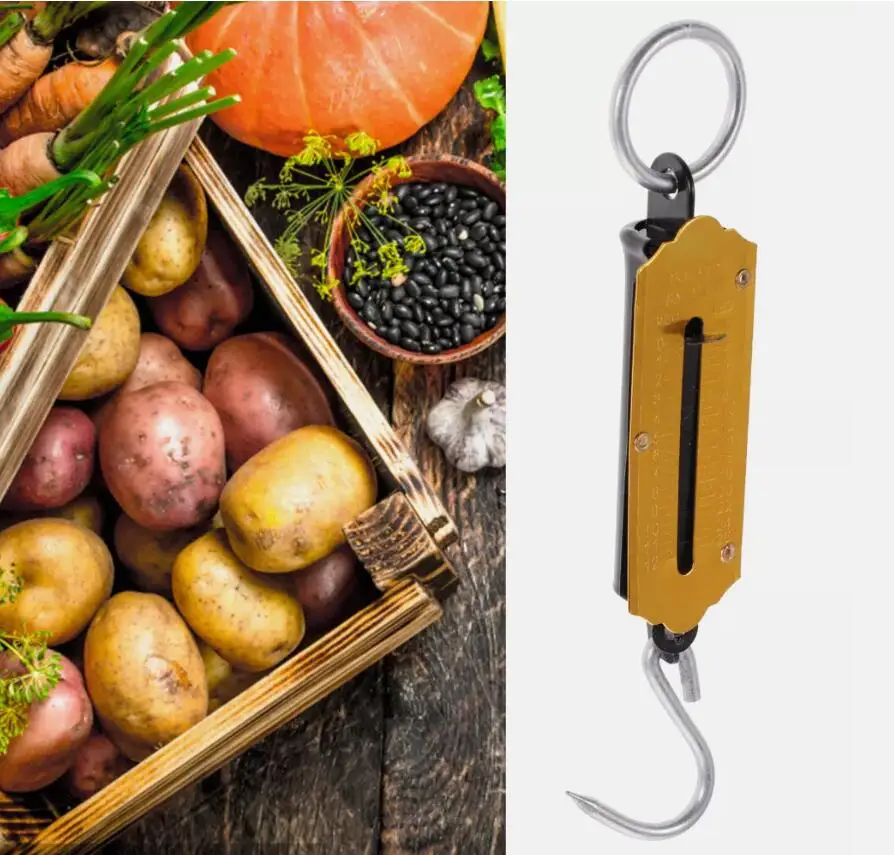 Spring Balance Hanging Hook Handheld Metal Weighing Force Scale Kilo & LBS 50KG