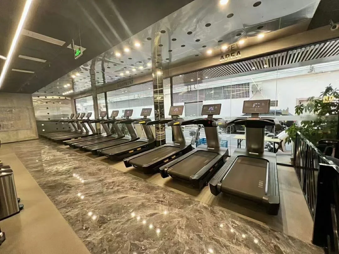 Commercial Use Metal Frame Upright Bike for Sale with Ce Approved