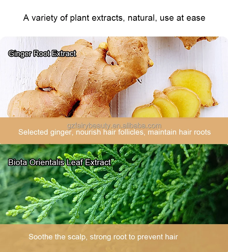 Ginger shampoo2-3.jpg