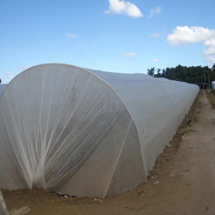 Greenhouse coverage PP spunbond non woven fabric 100% polypropylene fabric for Agriculture