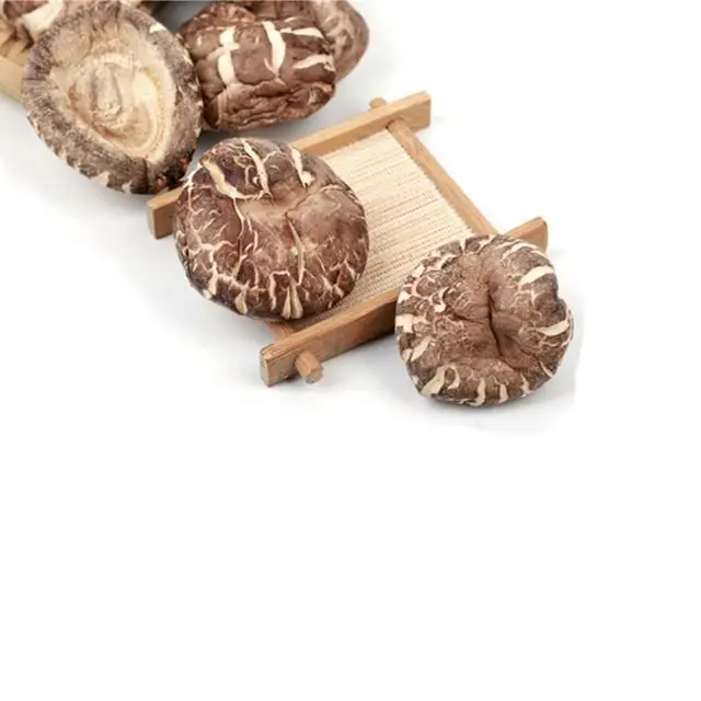 Newest products agricultural products dried goods shiitake mushrooms edible mushrooms flower mushrooms