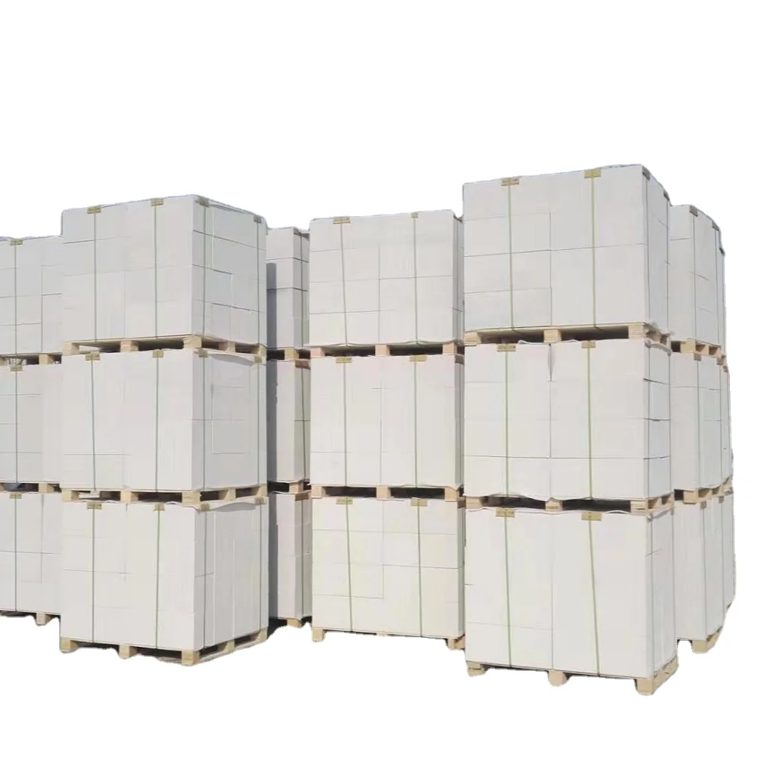 AAC block and hollow block making autoclave / autoclaved aerated concrete block /autoclave for bricks