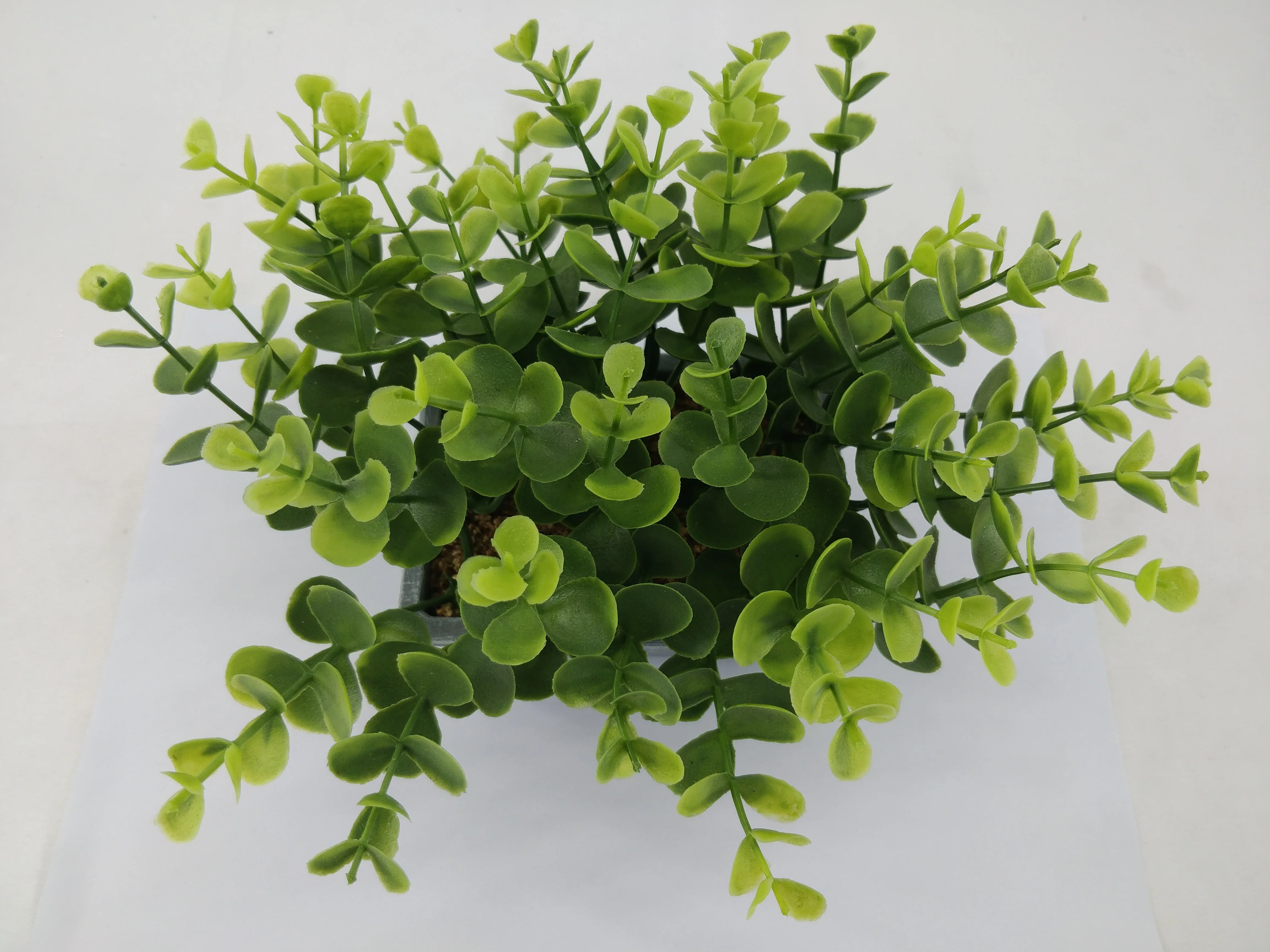 Artificial shrub plant filling indoor and outdoor family artificial money leaf greenery