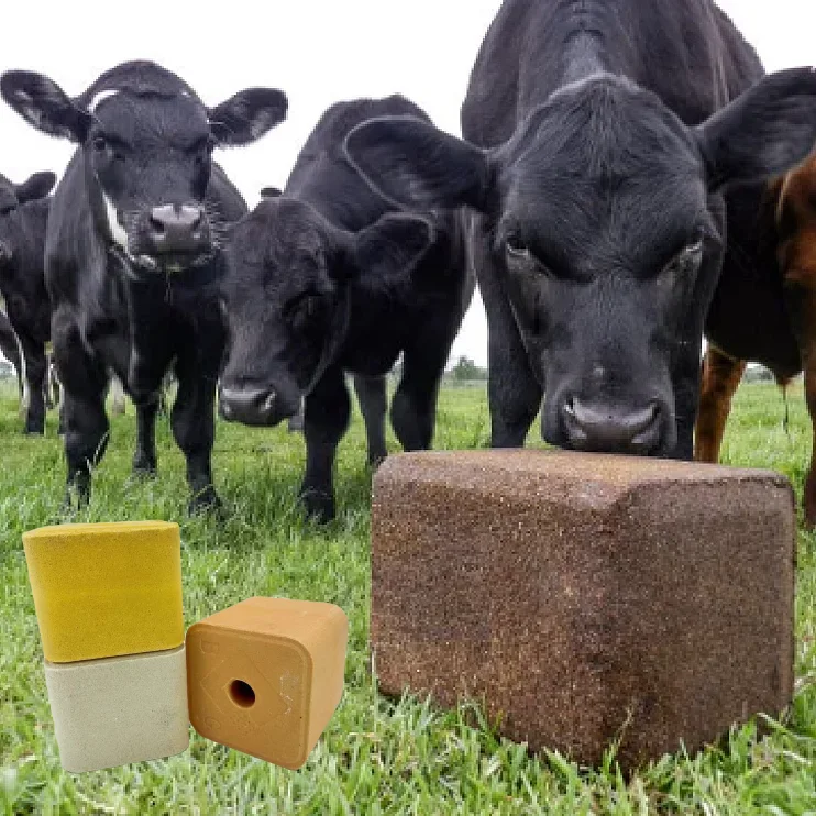 Animal salt lick block with vitamin and mineral for cattle or sheep