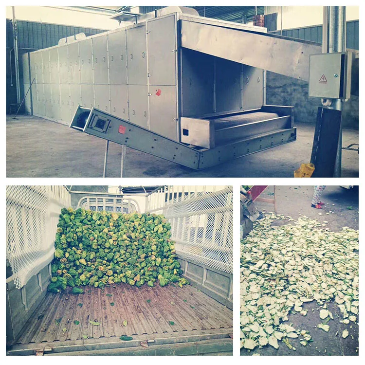 Industrial hemp konjac chip washing production line sanchi flower dryer oregano continuous mesh belt drying machine