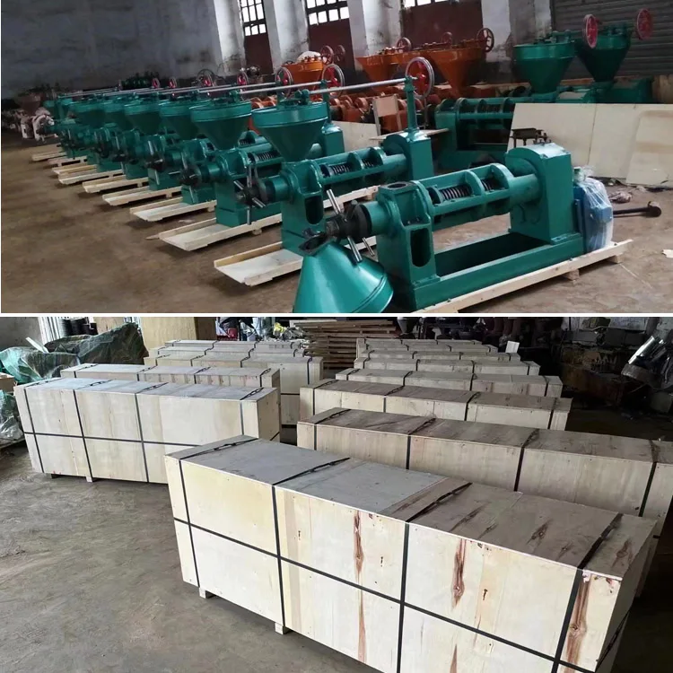 NEWEEK Hot sale edible oil processing equipment expeller machine cold seed oil press mill machinery