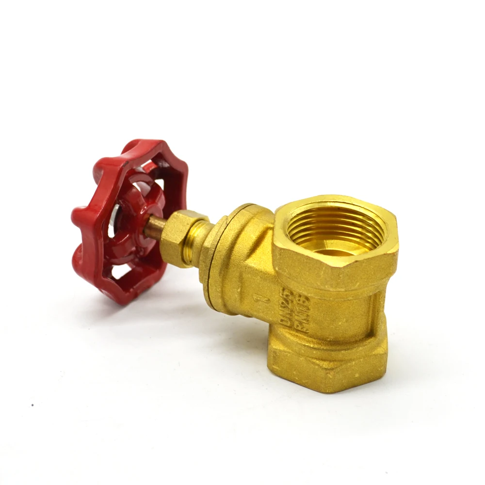 China made 1.6 MPA  Gate Valve brass spring check valve DN10/DN25/DN32 swing water valve