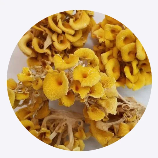 High Quality Yellow Mushroom Dry Mushrooms, a large number of exports, quality and cheap