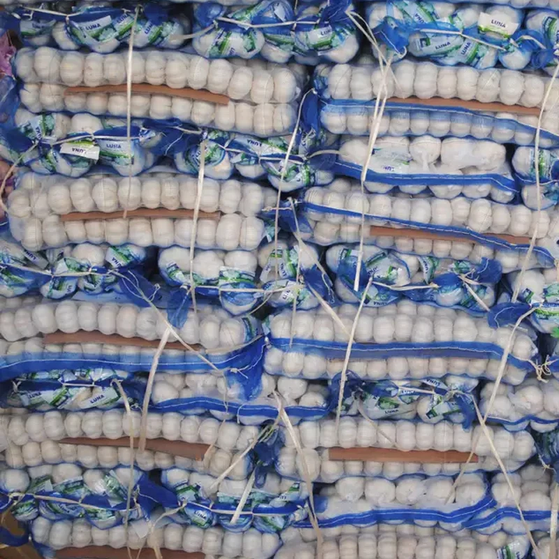 buy chinese bulk fresh export china garlic wholesale exporters turkey yemen box 10kg exporters for sale garlic