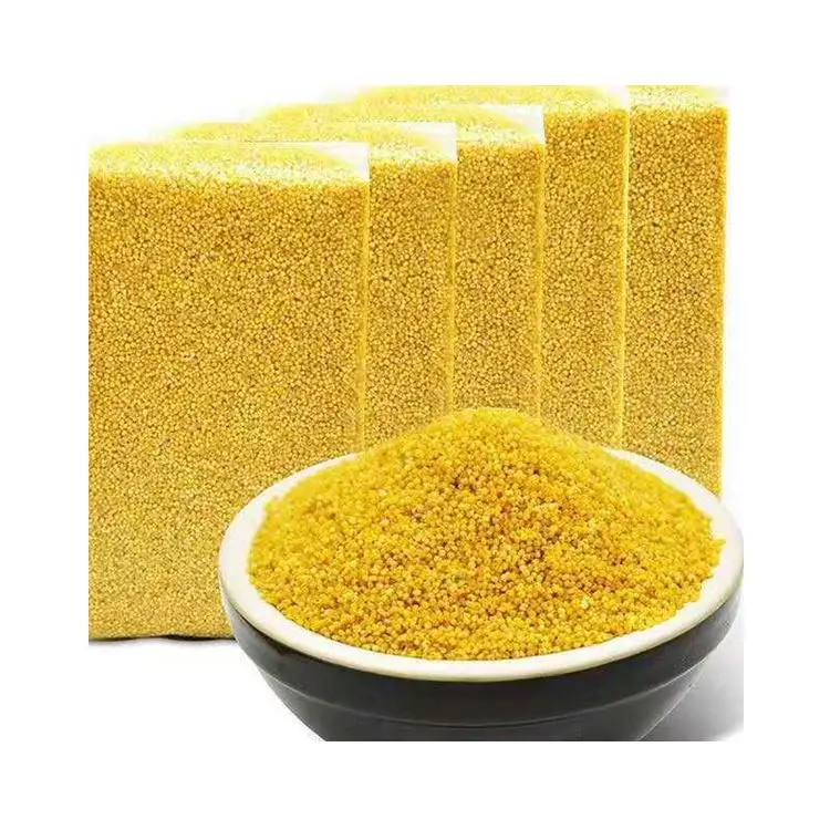 China Factory Good Quality Organic Healthy Ingredients Yellow Seeds Foxtail Millet