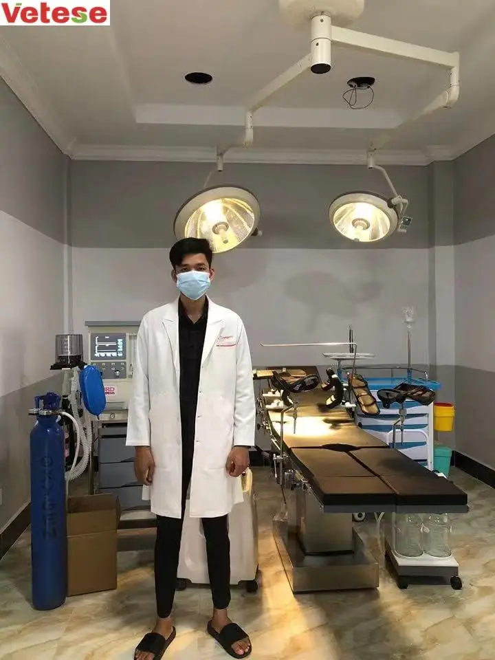 Medical Anasthesia machine For Veterinary Surgery Operation Portable Maquina de anestesia Hospital Anestesia