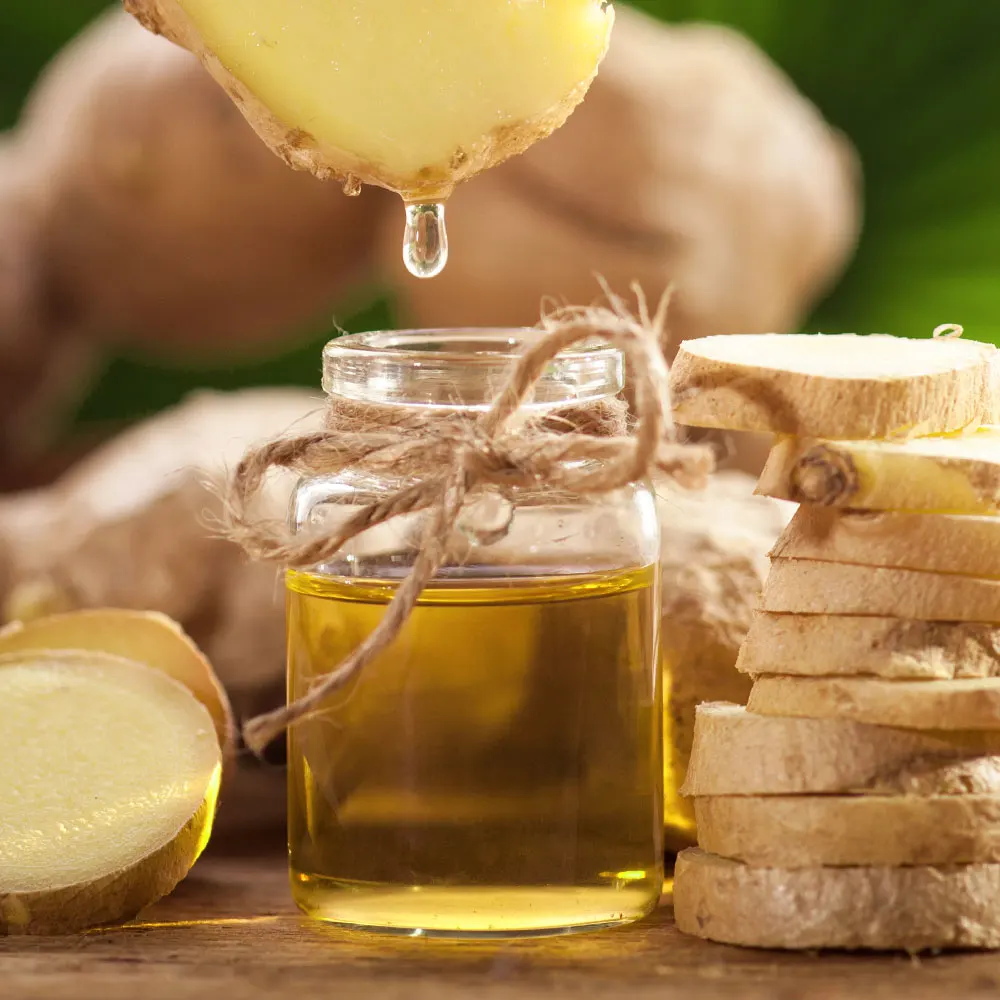 Ginger Oil for Hair Root Extract Refreshing Body Massage Oil Therapeutic Essential Oil Wholesale Bulk
