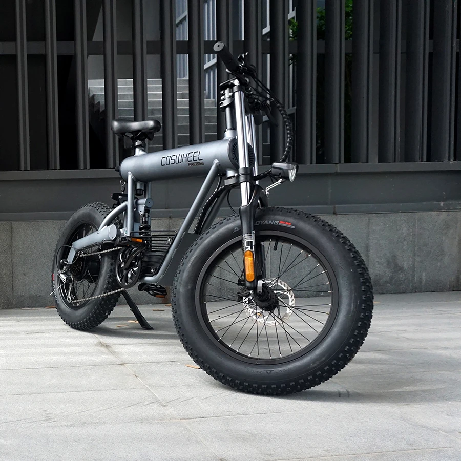 Elettriche Dual Motor Ebike 500w Electric Fat Bike Electric Road Bike Electric City Bike