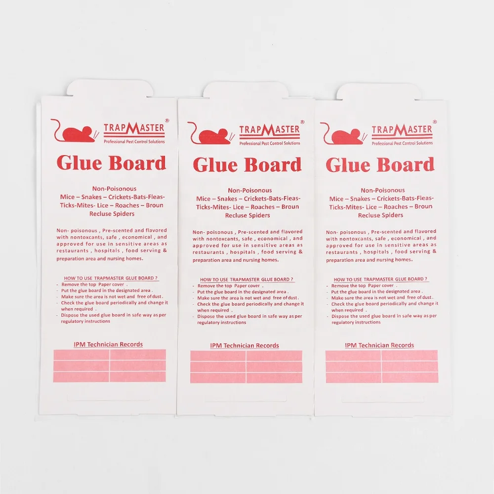 TNL Wholesale Gel Gule  Mouse Trap 25.4*10.2cm Strong killer mouse