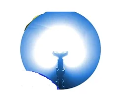 T10 Led Canbus W5W Led Bulbs 194 3030 12SMD 6000K White Dome Reading License Plate Light Car Interior Light