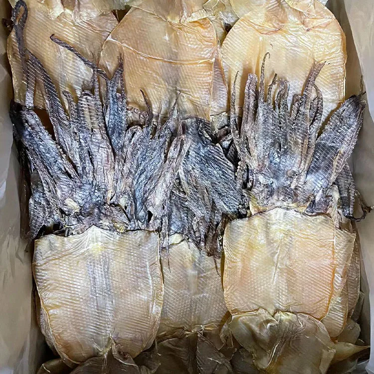dried squid whole illex squid dosidicus gigas boston squid