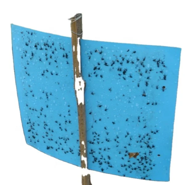PP blue sticky traps,  pest glue cards, natural pest control way to kill thrips