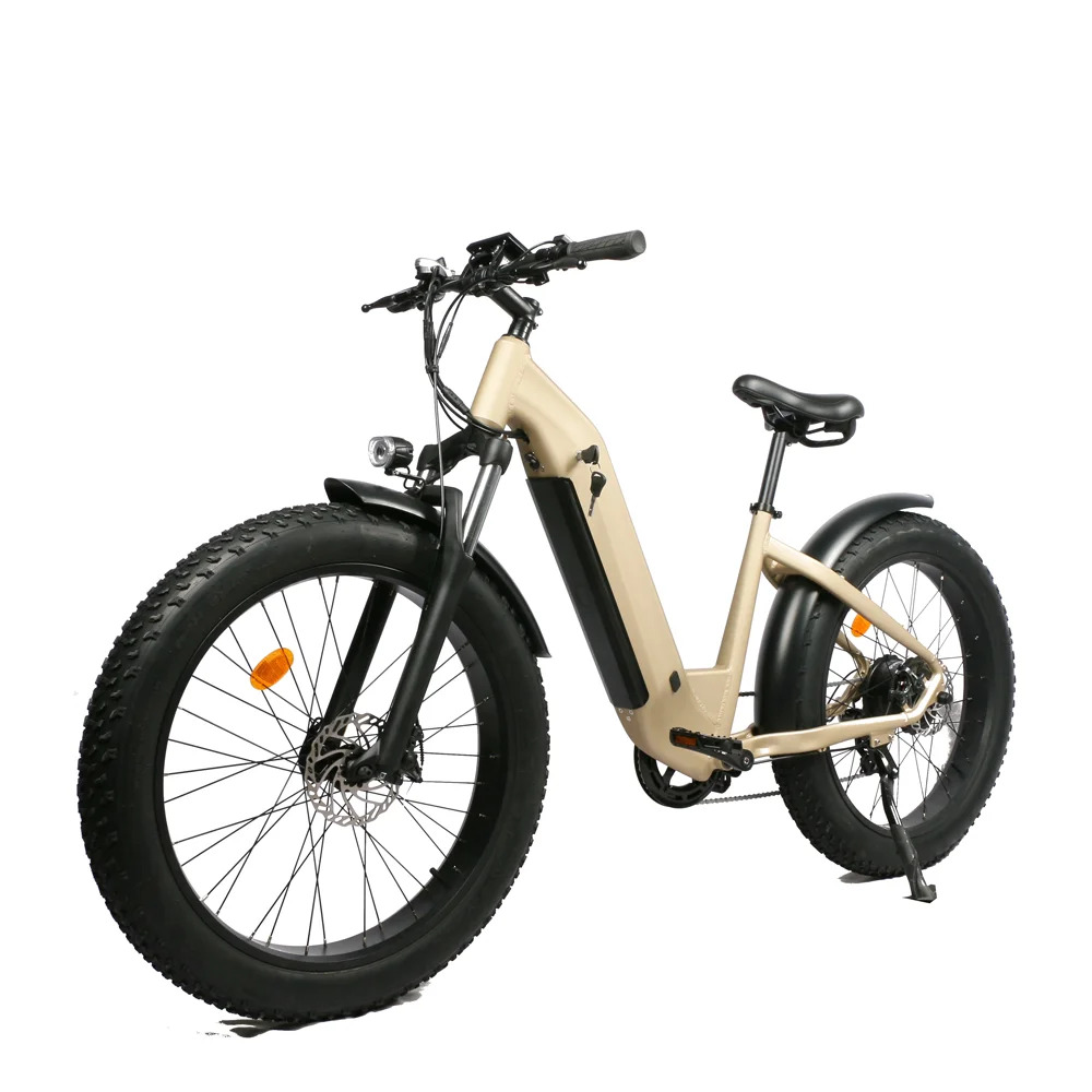 Emtb Retro Electric Hybrid Bike 750w E-Bike Road Dirt E Bike 48V Step Through Ebike Mountain  Off-road Fat Tire 1000w Ebike
